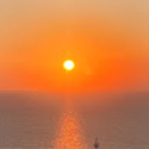 Meet your Posher, Margot